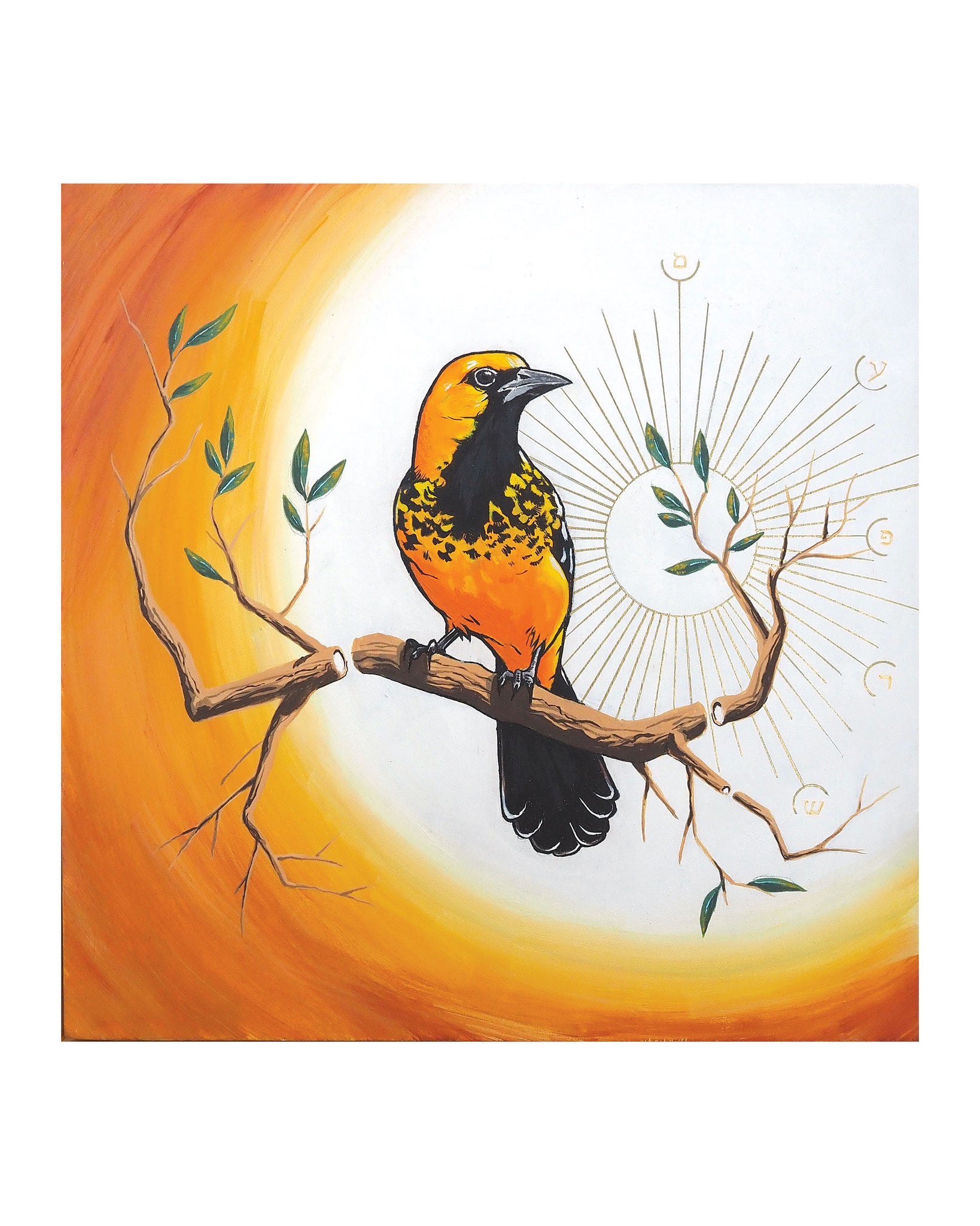 Splendor / Spot-breasted Oriole Print by Karl Cossio