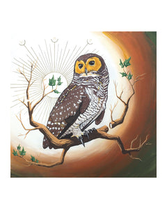 The Kingdom / Spotted Wood Owl Print by Karl Cossio