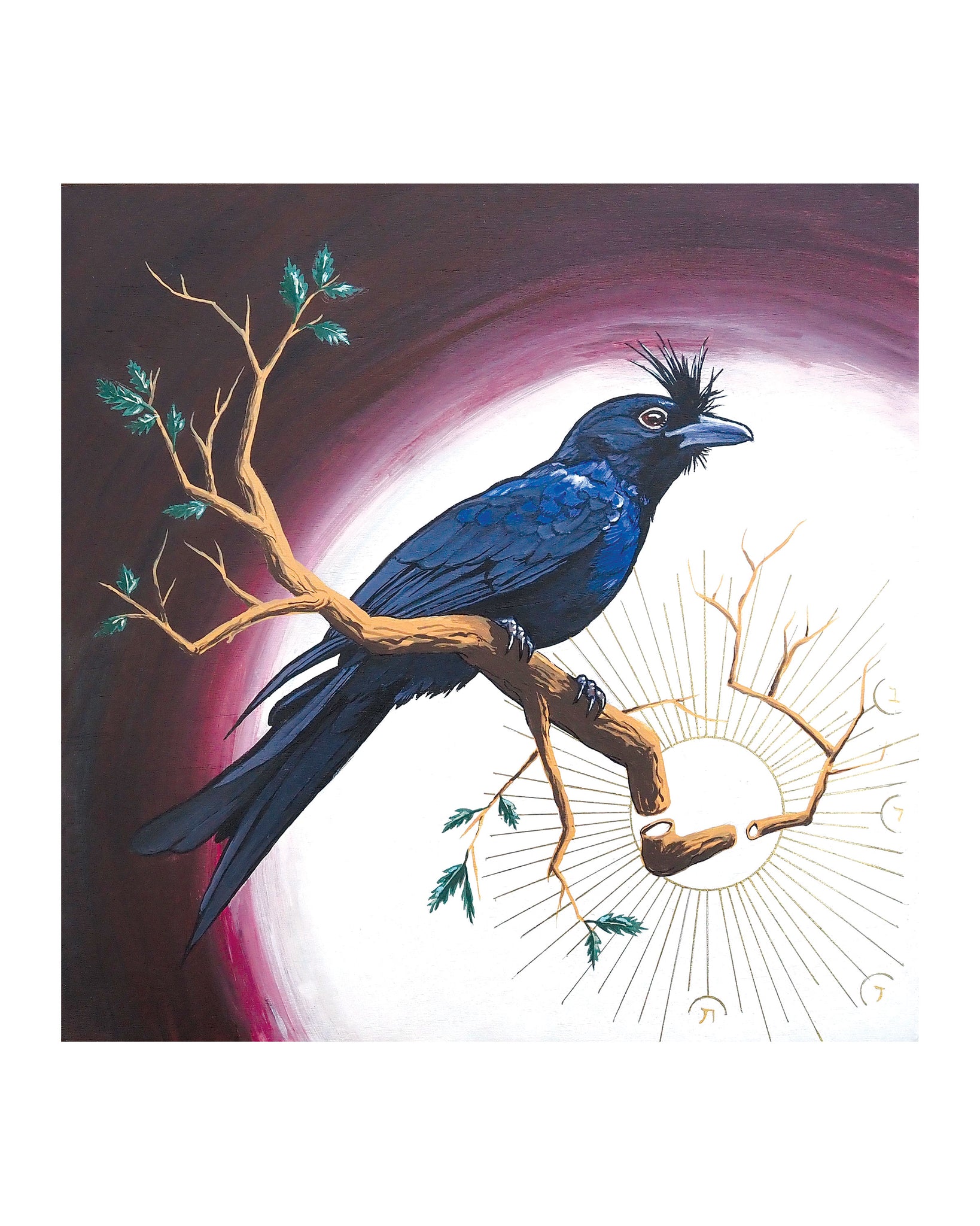 Understanding / Crested Drongo Print by Karl Cossio