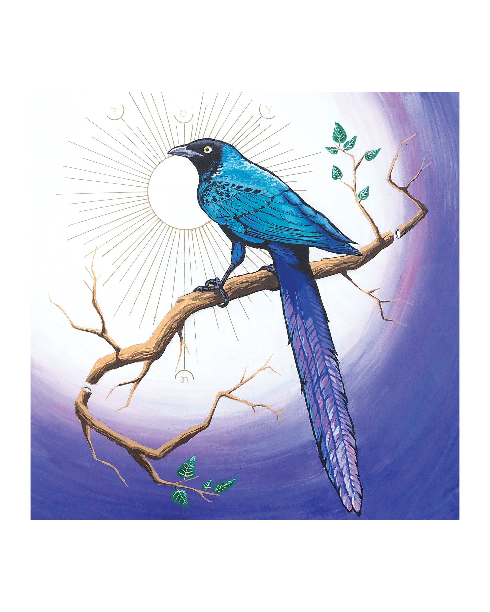 The Foundation / Long-tailed Glossy Starling Print by Karl Cossio